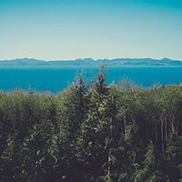 手机号连环呼叫软件