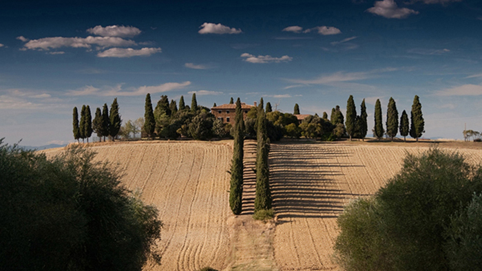 无限发短信验证码软件